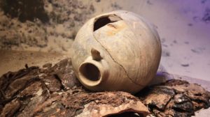 discover Alghero 8 museo02 1